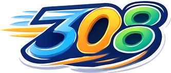 Logo 308